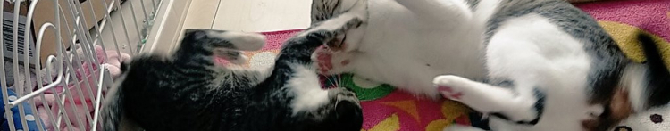 えみいさんのホーム