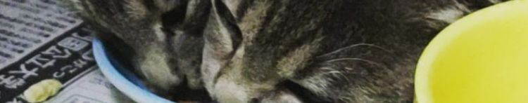 アルコモさんのホーム