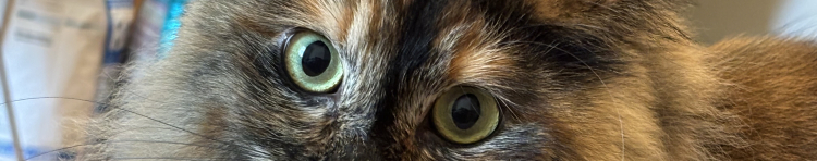 よもぎ 92さんのホーム