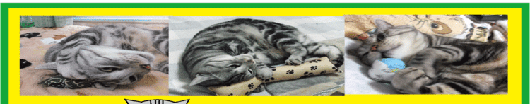 おぷくさんのホーム