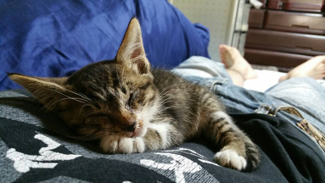 masa0901さんのホーム