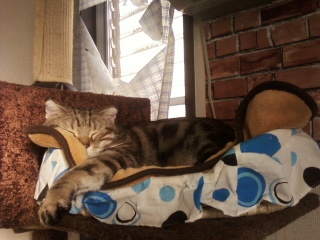 勘助さんのホーム