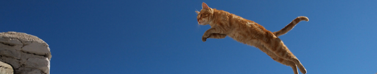 ちゃこるーさんのホーム