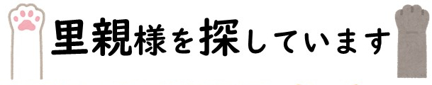 ゼロハチさんのホーム