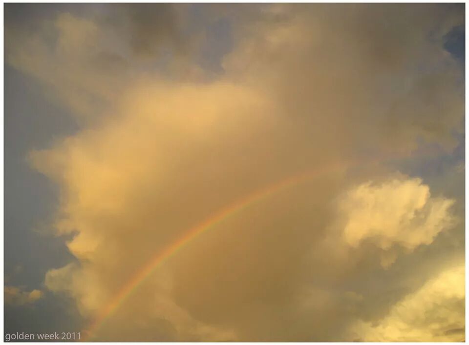 nightowlさんのホーム