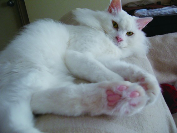 keimさんのホーム