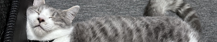 reinnさんのホーム