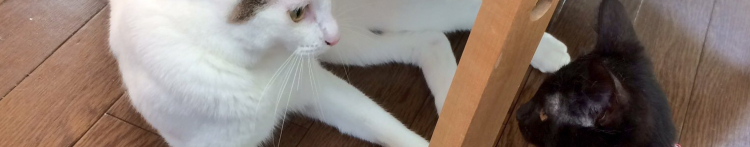 タツコ3539さんのホーム