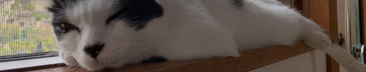 natsu0604さんのホーム