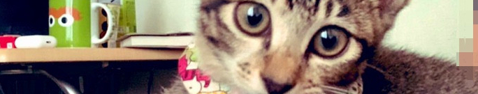 もーるさんのホーム