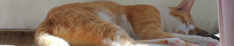 ちゃんまー67さんのホーム