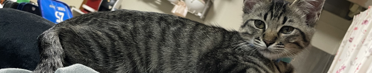 ひなな0409さんのホーム