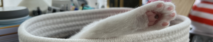 chkさんのホーム