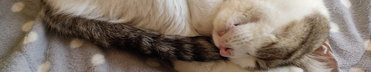 ハリ。さんのホーム