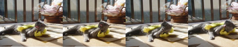 すーさんのホーム