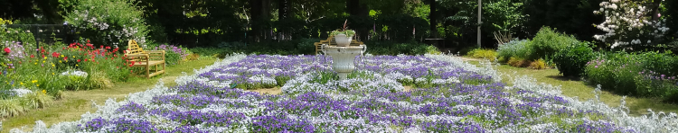 りんくねこさんのホーム