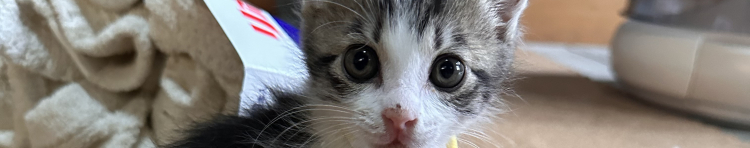 あきちんログさんのホーム