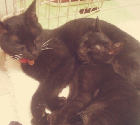 ちゃき@kmmcmさんのホーム