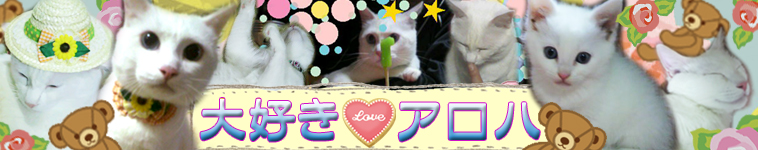 ホワイトミルキーさんのホーム