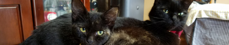 8歩夢8さんのホーム