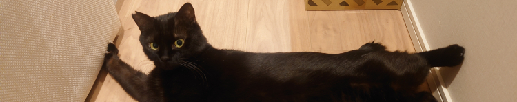 ゆりのはなさんのホーム