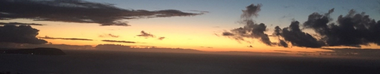 タロリリさんのホーム