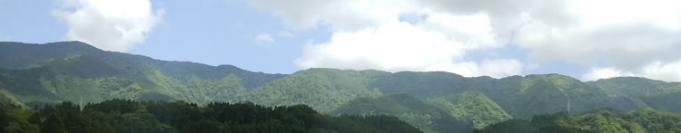 たまこvさんのホーム