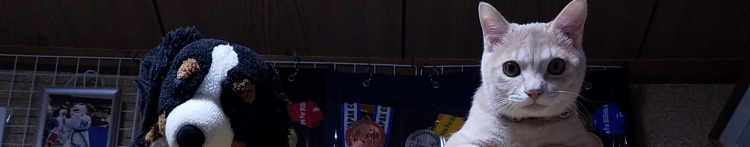 にゃんにゃんにゃんちゅうさんのホーム