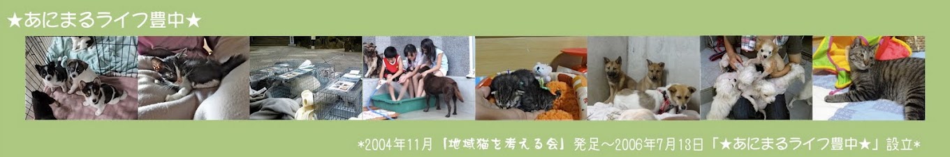 あにまるライフ豊中さんのホーム