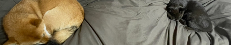 うみふうさんのホーム