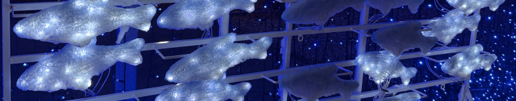 ナっちさんのホーム