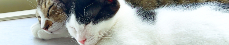 うめこんbuさんのホーム