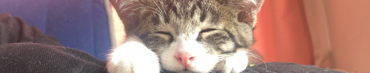 ののアキさんのホーム