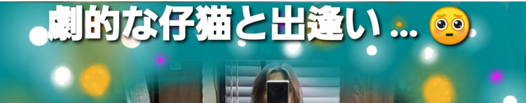 イオリアさんのホーム