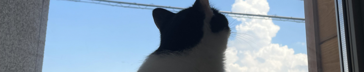 Ami_ d_chaさんのホーム