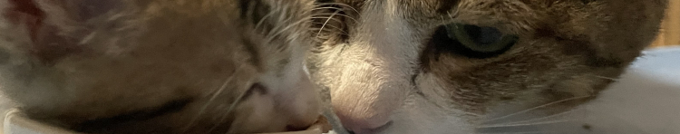 non46さんのホーム