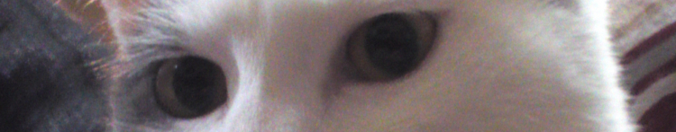 ムムムムさんのホーム