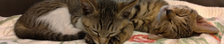 akaraさんのホーム