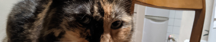 j_miさんのホーム