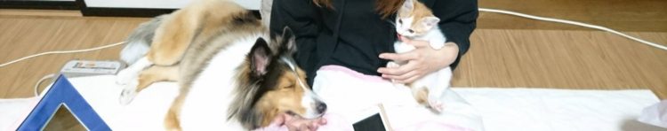 まき！さんのホーム