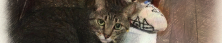 にゃあぁ363さんのホーム