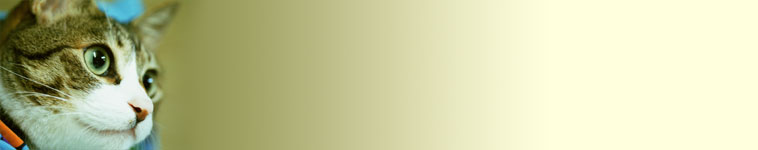 ふぅさんのホーム