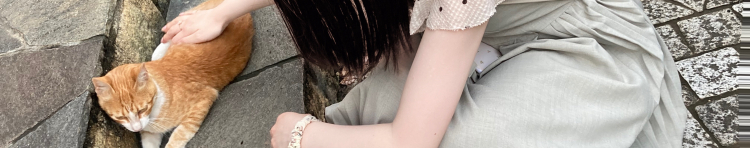 harunecoさんのホーム