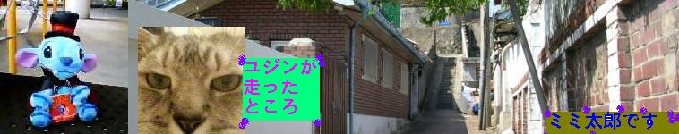 めっこさんのホーム