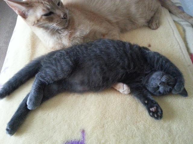 くりたさんのホーム