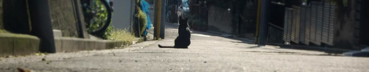 Rumraisin・catさんのホーム