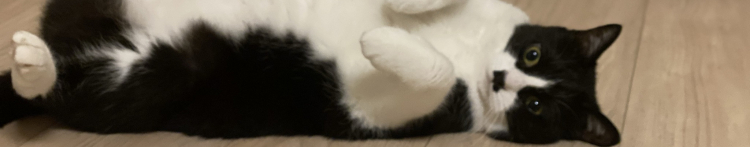 suzukazuさんのホーム