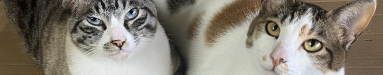 れんななさんのホーム