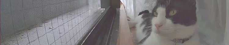 tomonoさんのホーム