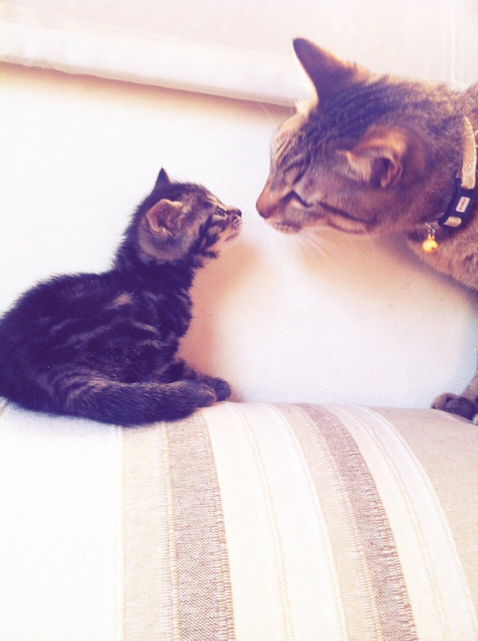 kuraranachiさんのホーム